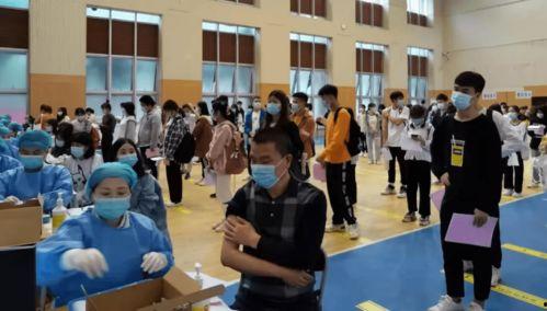 木森内幕爆料最新消息,揭秘行业惊天秘密！  第2张